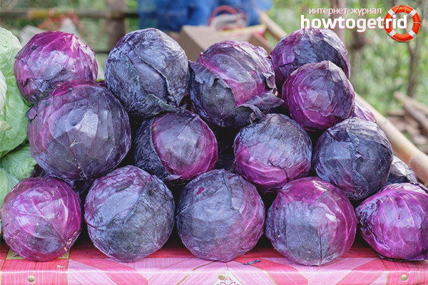The benefits and harms of red cabbage