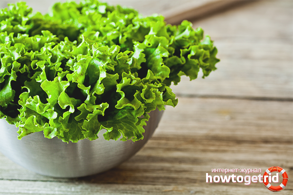 The benefits and harms of leaf lettuce
