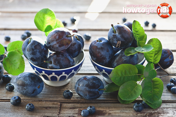 The benefits and harms of pregnant plums