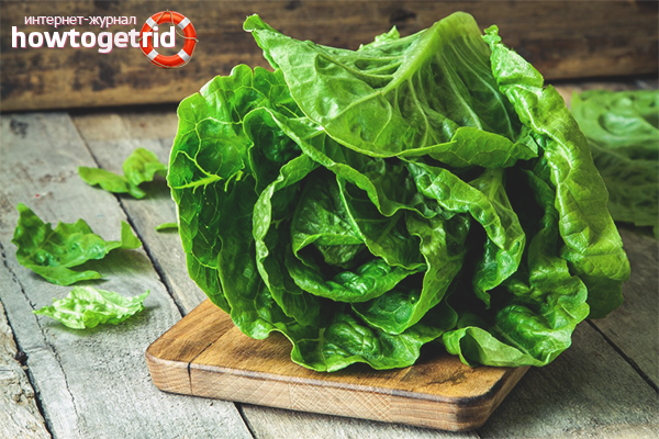 The benefits of leaf lettuce for women