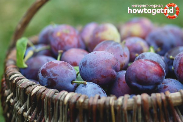 The benefits of plum for women