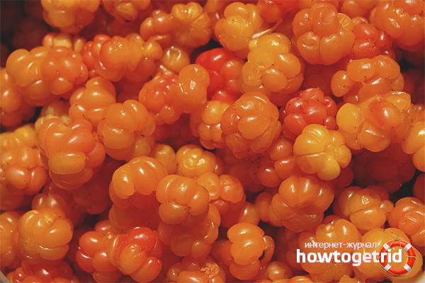 Cloudberry in cosmetology