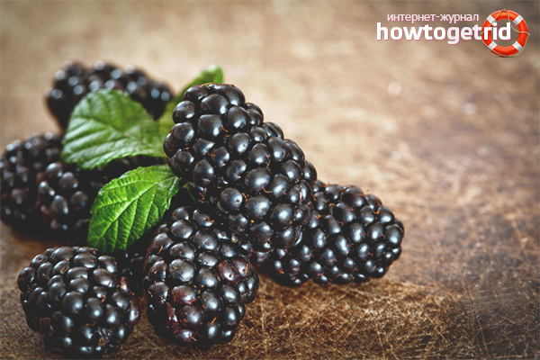 The benefits of blackberries for women