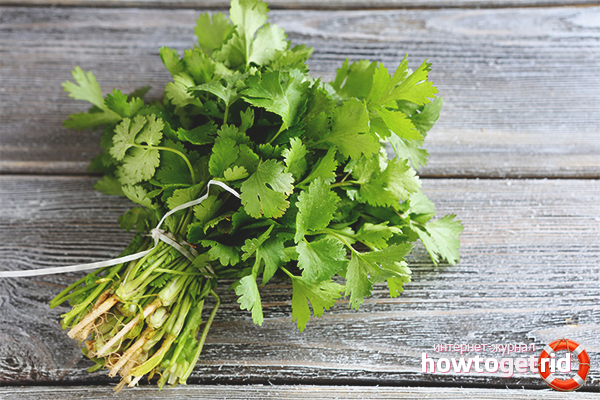 The benefits and harms of cilantro