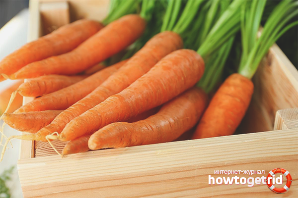 How to store carrots
