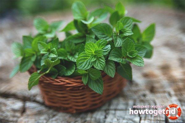 Traitement à la menthe