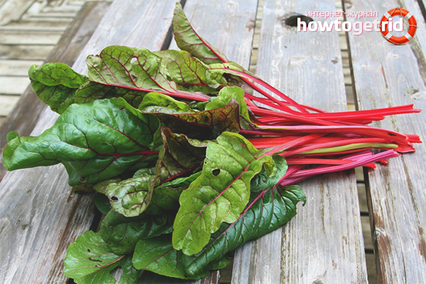 Les avantages de la betterave