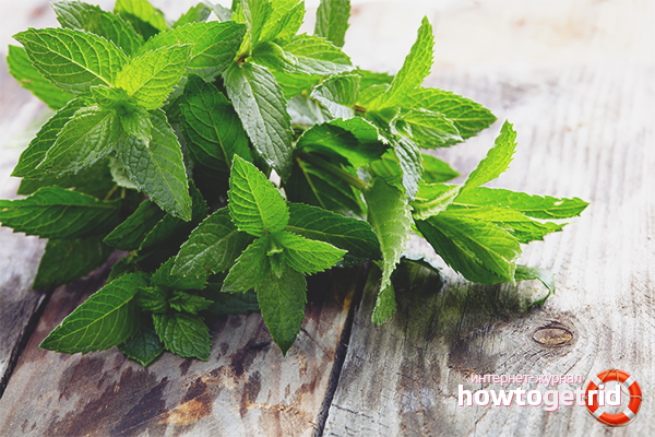 Avantages et inconvénients de la menthe poivrée