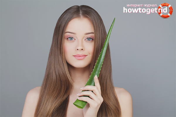 Aloe for weak and dry hair