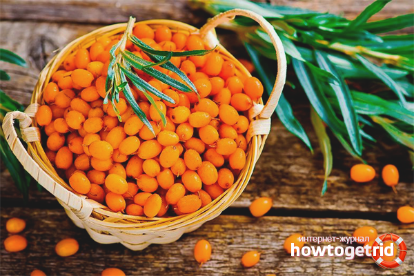 Sea buckthorn for hair