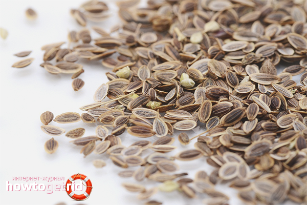 The benefits and harms of dill seeds