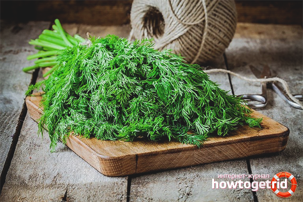 Les avantages et les inconvénients de l'aneth