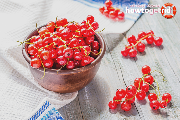 Die Vorteile von roten Johannisbeeren