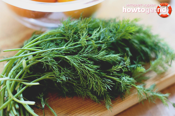 L'utilisation de l'aneth