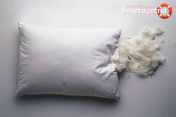 Arten von natürlichen Kissenfüllern