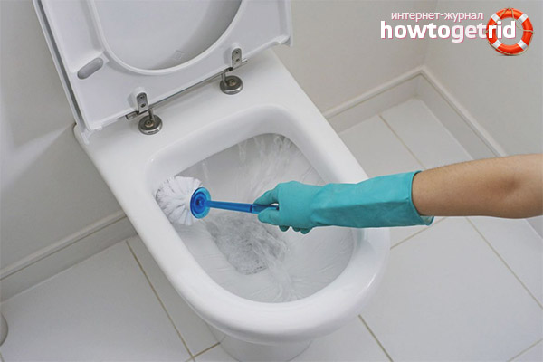 How to remove limescale in the toilet