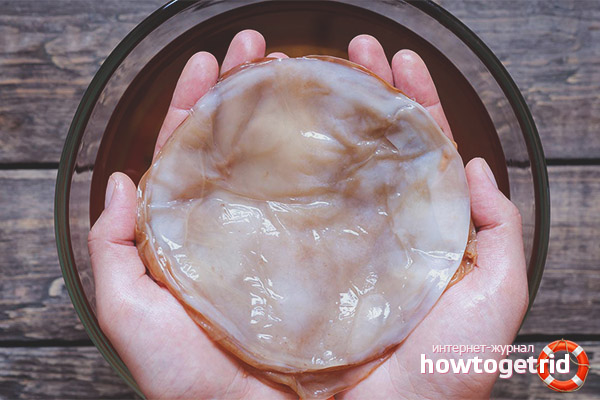 Useful properties and contraindications of Kombucha