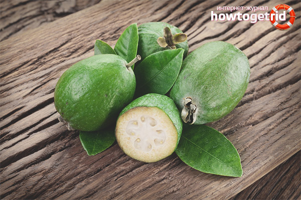 Useful properties and contraindications feijoa