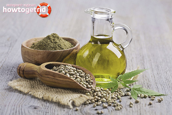 Useful properties and contraindications of hemp oil