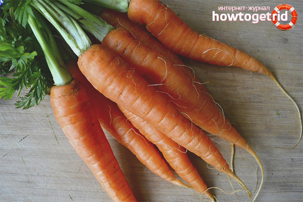 Useful properties and contraindications for carrots