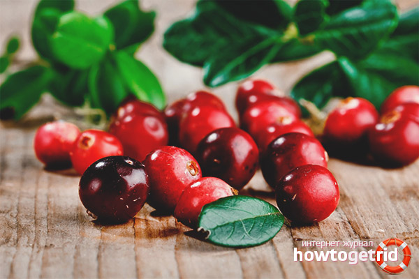 The benefits of lingonberries for pregnant women