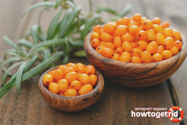 The benefits of sea buckthorn for pregnant women