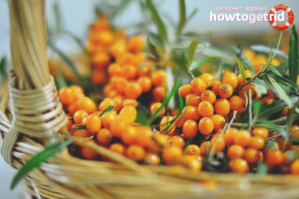 The benefits of sea buckthorn for men