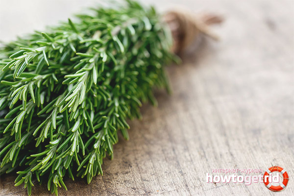 Contraindications rosemary