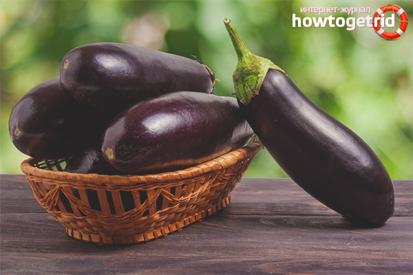 Eggplant during pregnancy