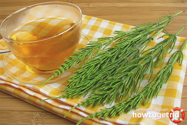 Horsetail Healing Drink