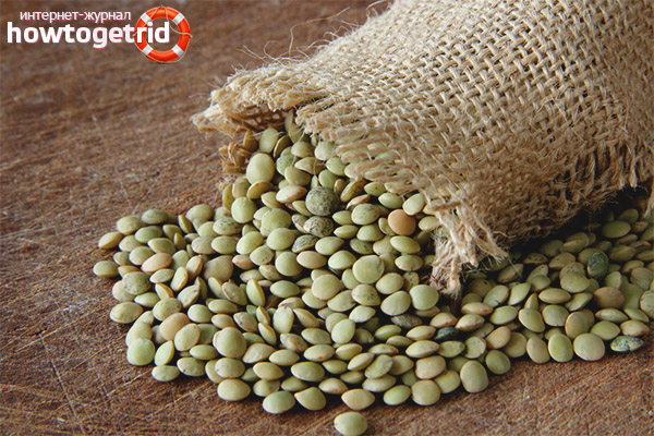 Lentils during pregnancy