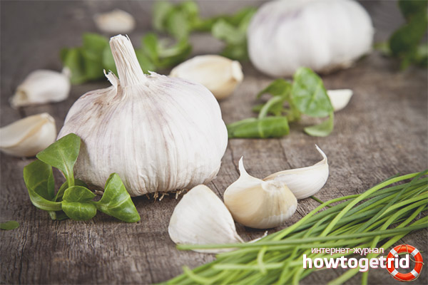 Garlic during pregnancy