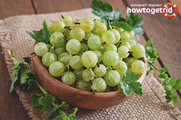 What gives the use of gooseberries