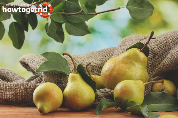 Pears during pregnancy