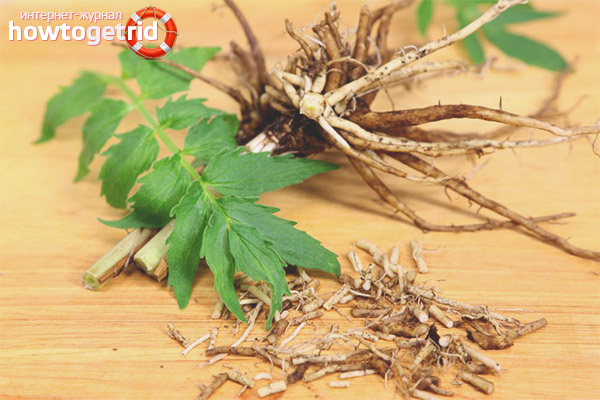 How to make Valerian medicine