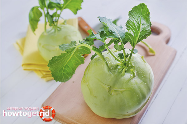 Kohlrabi for bone tissue