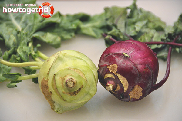 Kohlrabi for women