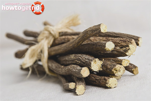 Licorice rhizome during pregnancy