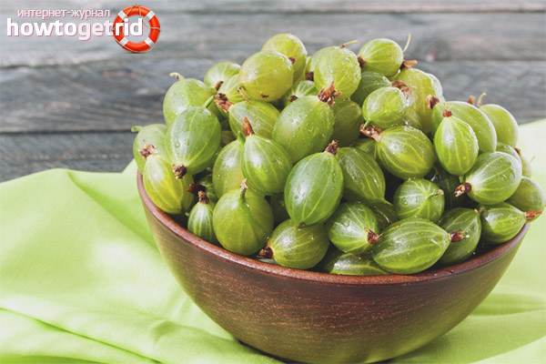 Gooseberries during pregnancy