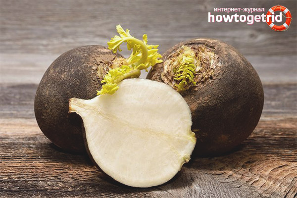 The healing properties of black radish