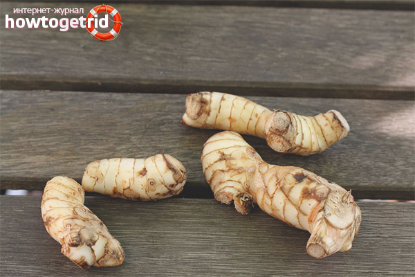 Therapeutic properties and contraindications galangal root