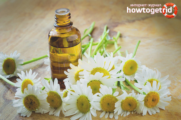 The healing properties of chamomile tincture
