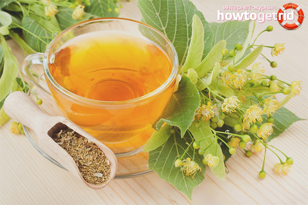 Linden in folk medicine