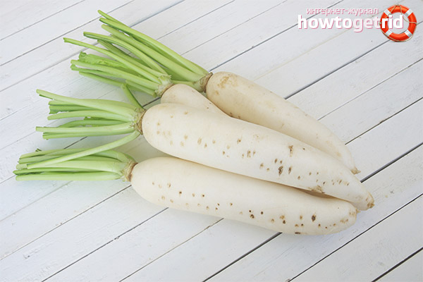 Useful properties and contraindications of daikon