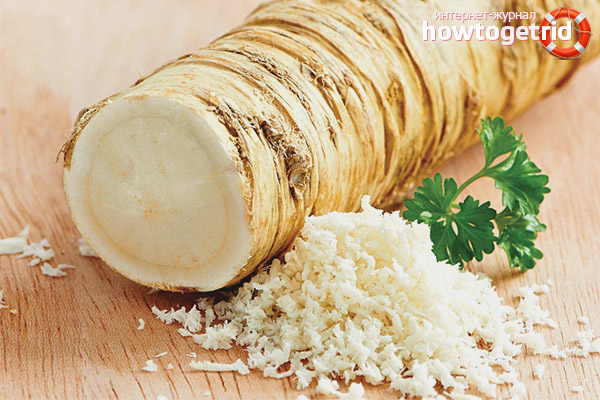 Useful properties and contraindications horseradish