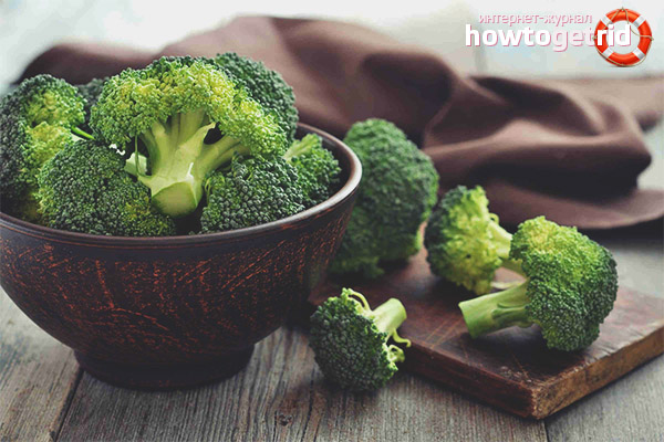 Useful properties and contraindications for broccoli