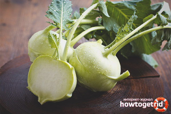 Useful properties and contraindications kohlrabi cabbage