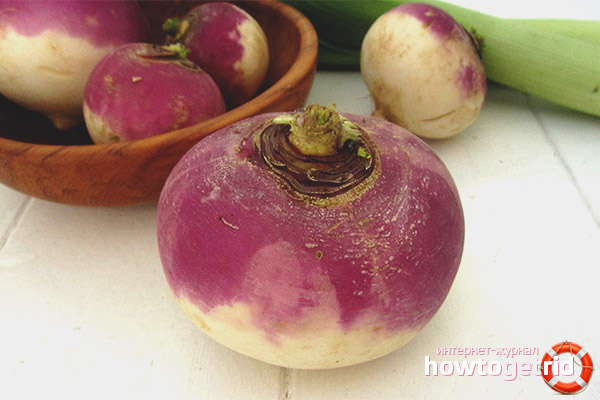 Propriétés et contre-indications utiles pour le navet