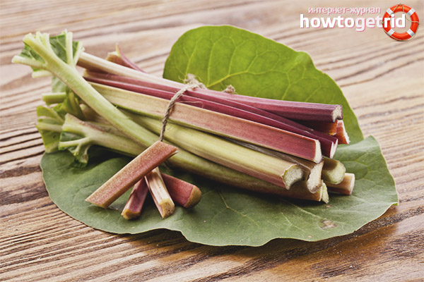 Useful properties and contraindications for rhubarb