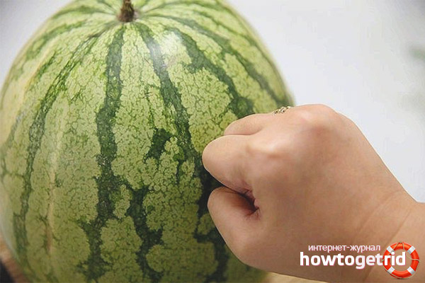 Rules for choosing a watermelon